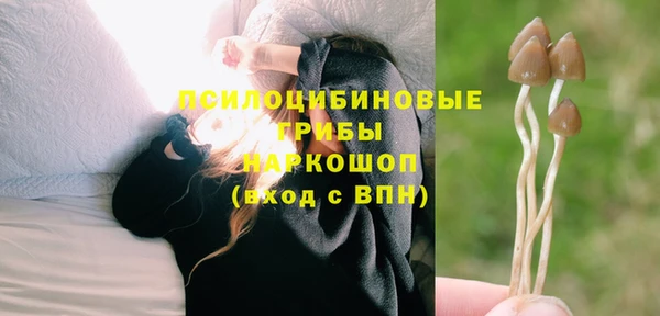 гидропоника Арсеньев