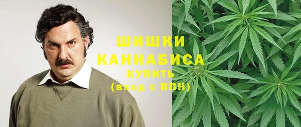твердый Аркадак